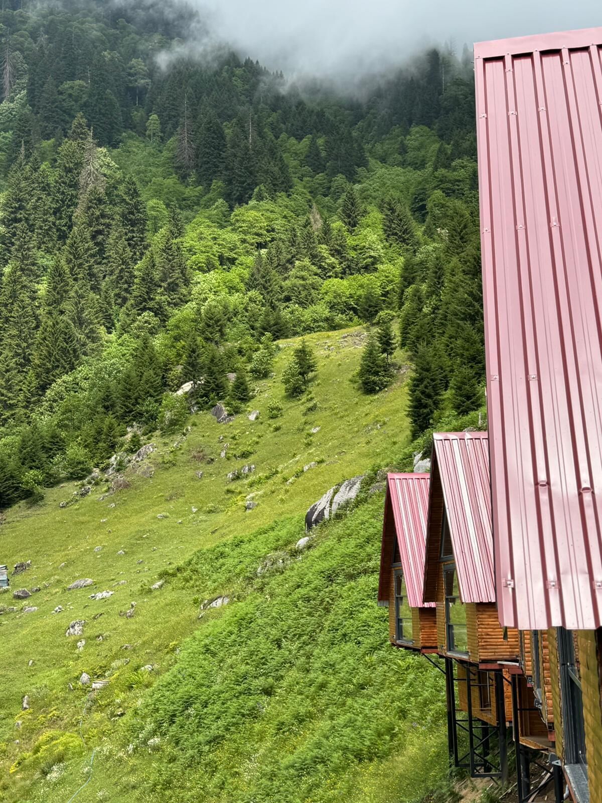 Een bergachtig landschap met een chalet met rode dakpannen en een houten gebouw met een schuin dak.