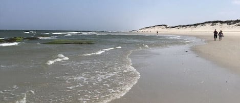 Une plage avec des vagues, une rive sablonneuse et deux personnes qui se promènent.