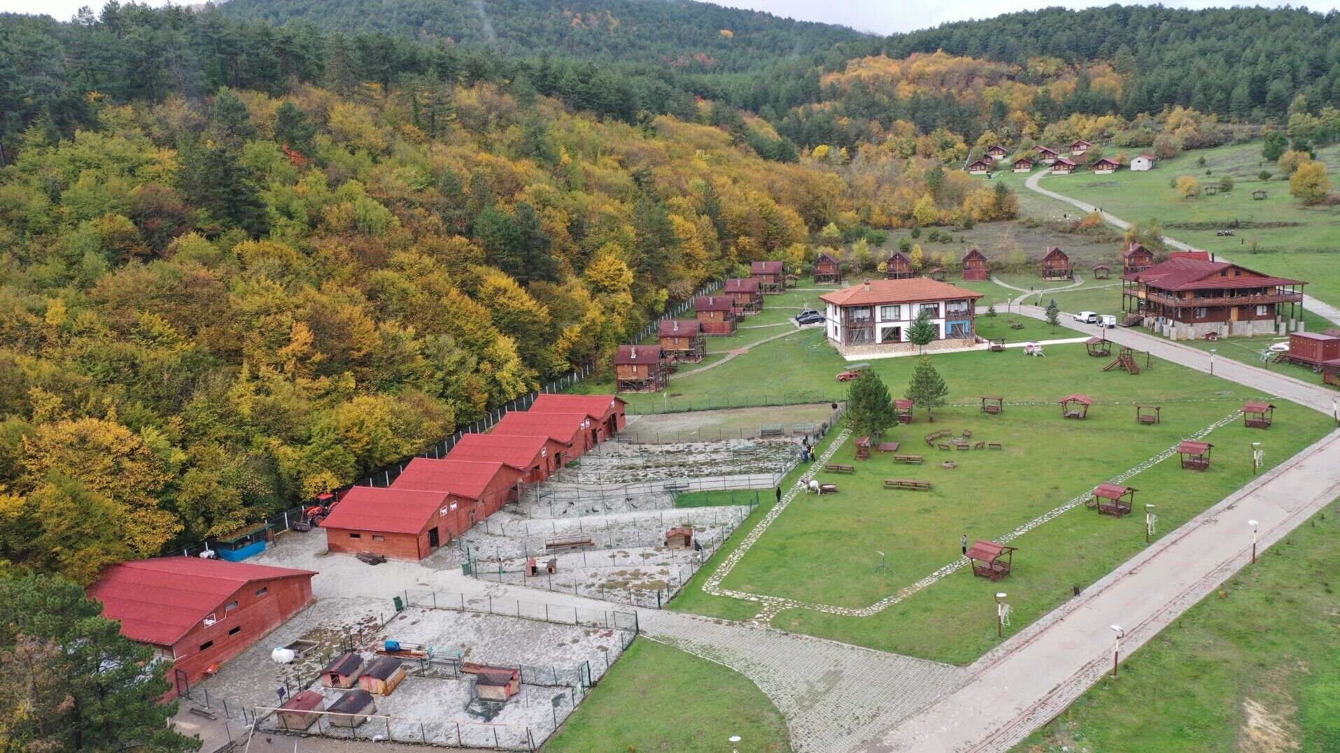Une zone rurale comprenant plusieurs bâtiments aux toits rouges, un bâtiment central de couleur blanche et une forêt environnante.