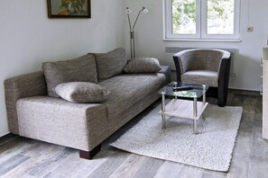 Smart TV, DVD player, books - Adam's Swedish House (Dechow)