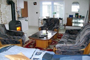 Smart-TV, Kamin