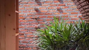 A brick wall with a wooden bench and potted plants.