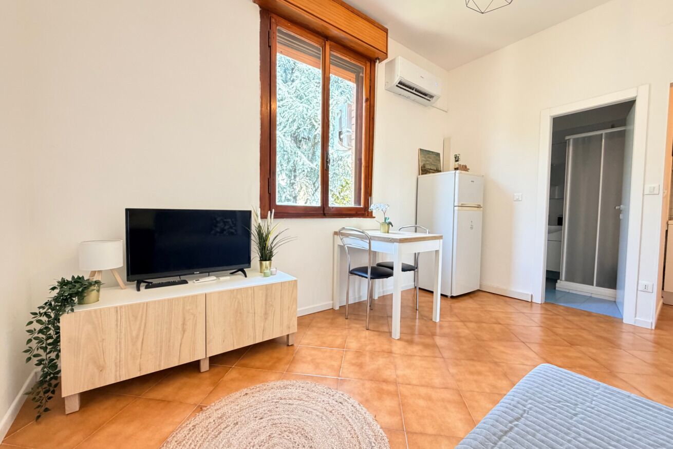 Habitació petita i ben il·luminada amb televisió, escriptori, cadira, nevera i finestra que ofereix vista a arbres.