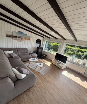 Smart-TV, Kamin