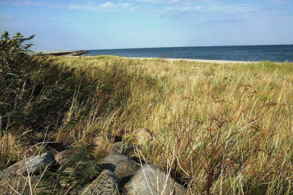 På stranden