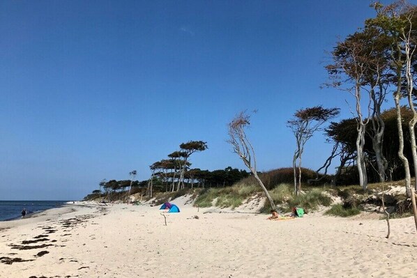 Am Strand