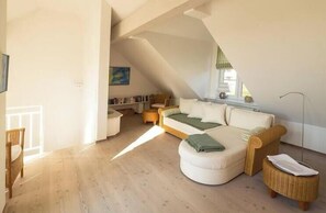 Smart-TV, Kamin