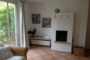 Smart-TV, Kamin