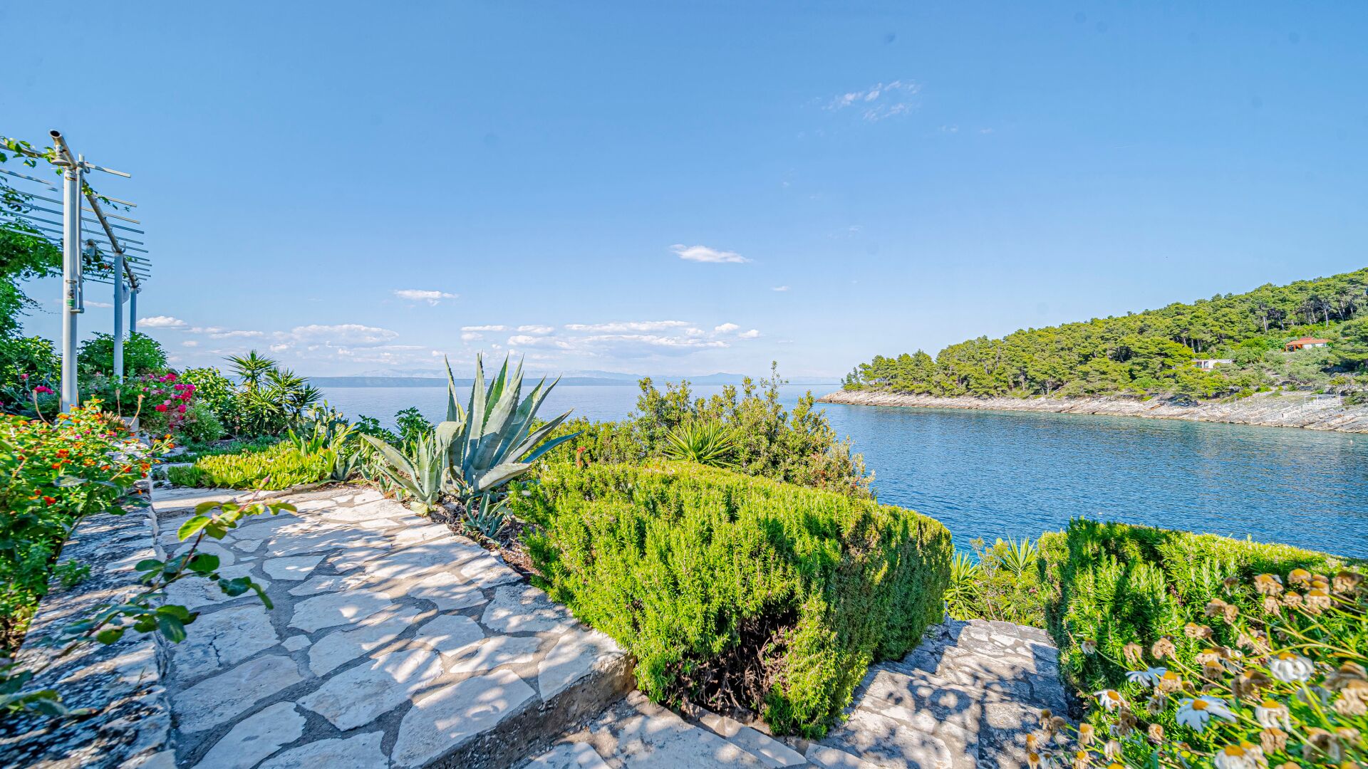 A stone pathway leading to a coastal area with lush greenery and a view of the sea.