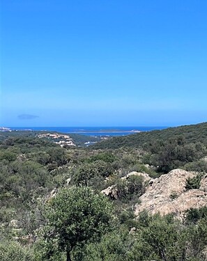 Eine gebirgige Landschaft mit dichter Vegetation und felsigem Gelände.