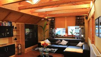 Smart-TV, Kamin