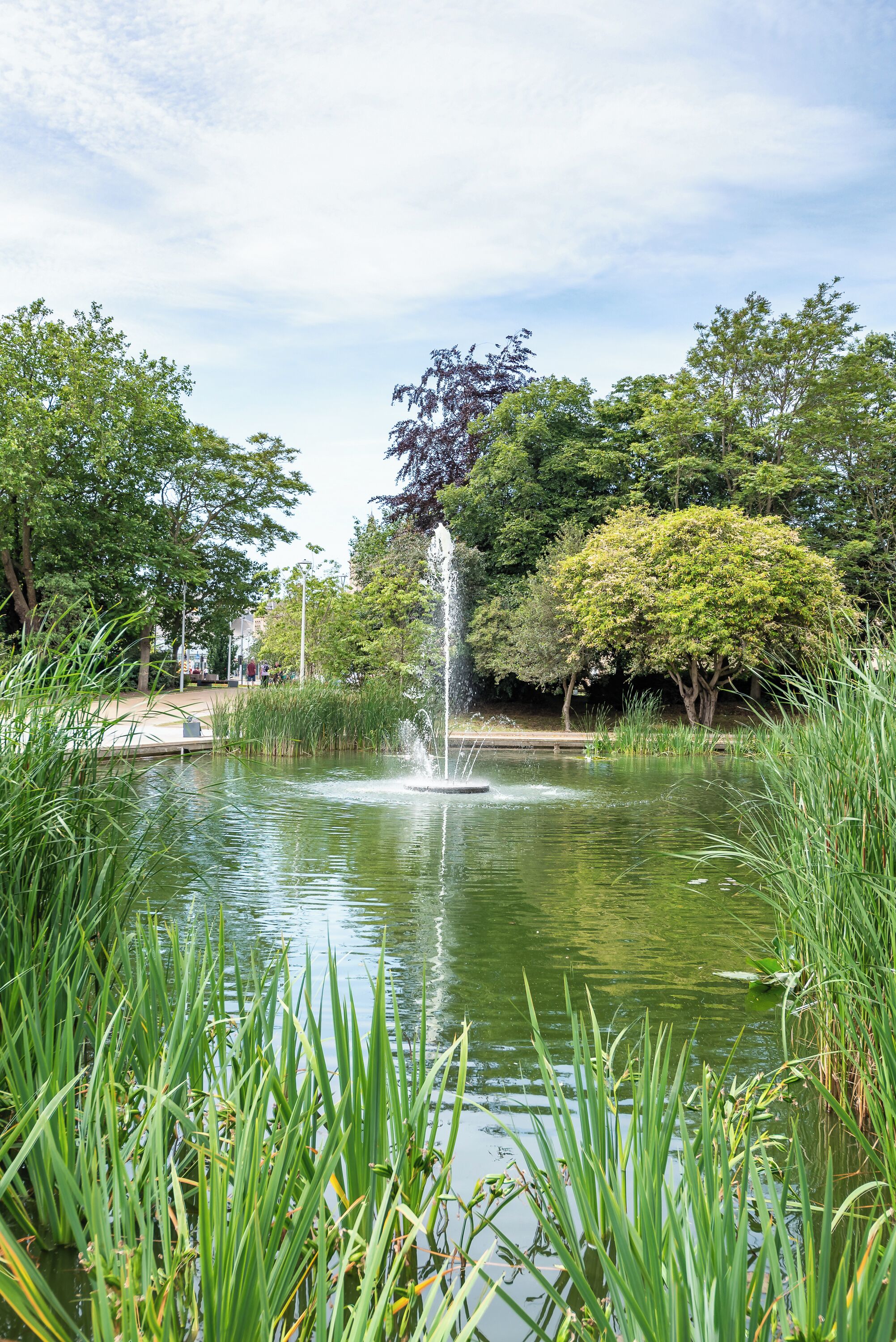 A pond with a fountain, surrounded by lush greenery and trees.