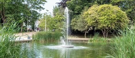 A pond with a fountain, surrounded by lush greenery and trees.