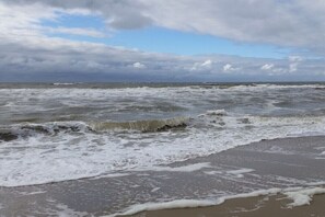 Beach - Blue Cottage Callantsoog (CALLANTSOOG, NIEDERLANDE)
