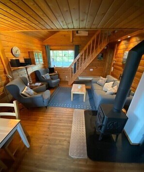 Smart-TV, Kamin