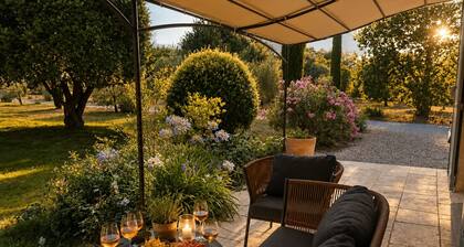 Authentic Stone Mas in the Heart of Provence -