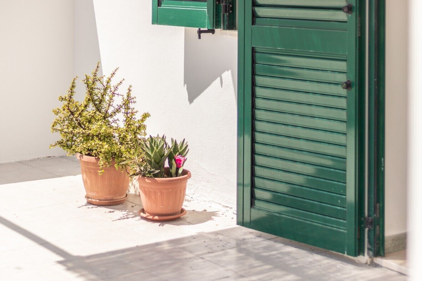 Yksityiskohta ulkoa