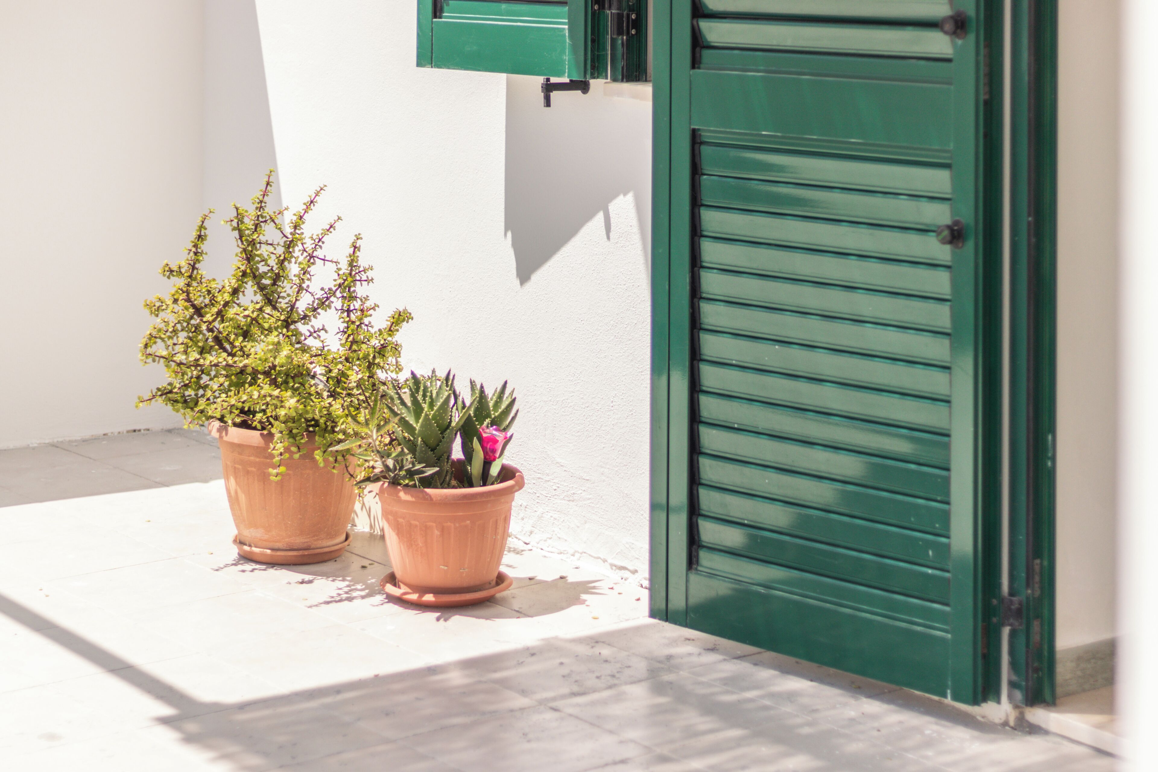 Apartamento, 1 cama de casal e sofá-cama | Detalhe da fachada