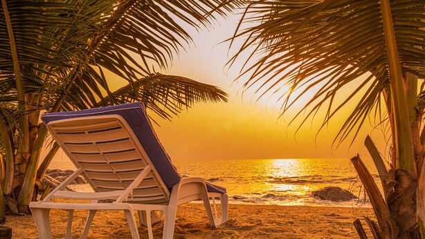 Escena de playa con una sola silla de descanso blanca y una palmera.