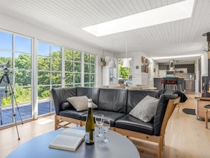 Fernseher, Kamin