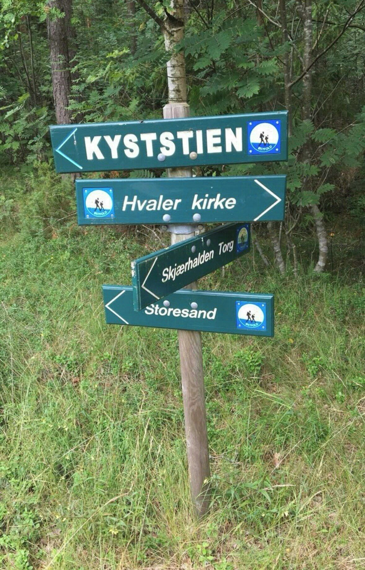 A directional signpost with multiple arrows pointing to different destinations.