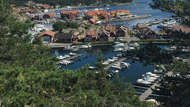 A coastal town with houses, a marina, and boats.
