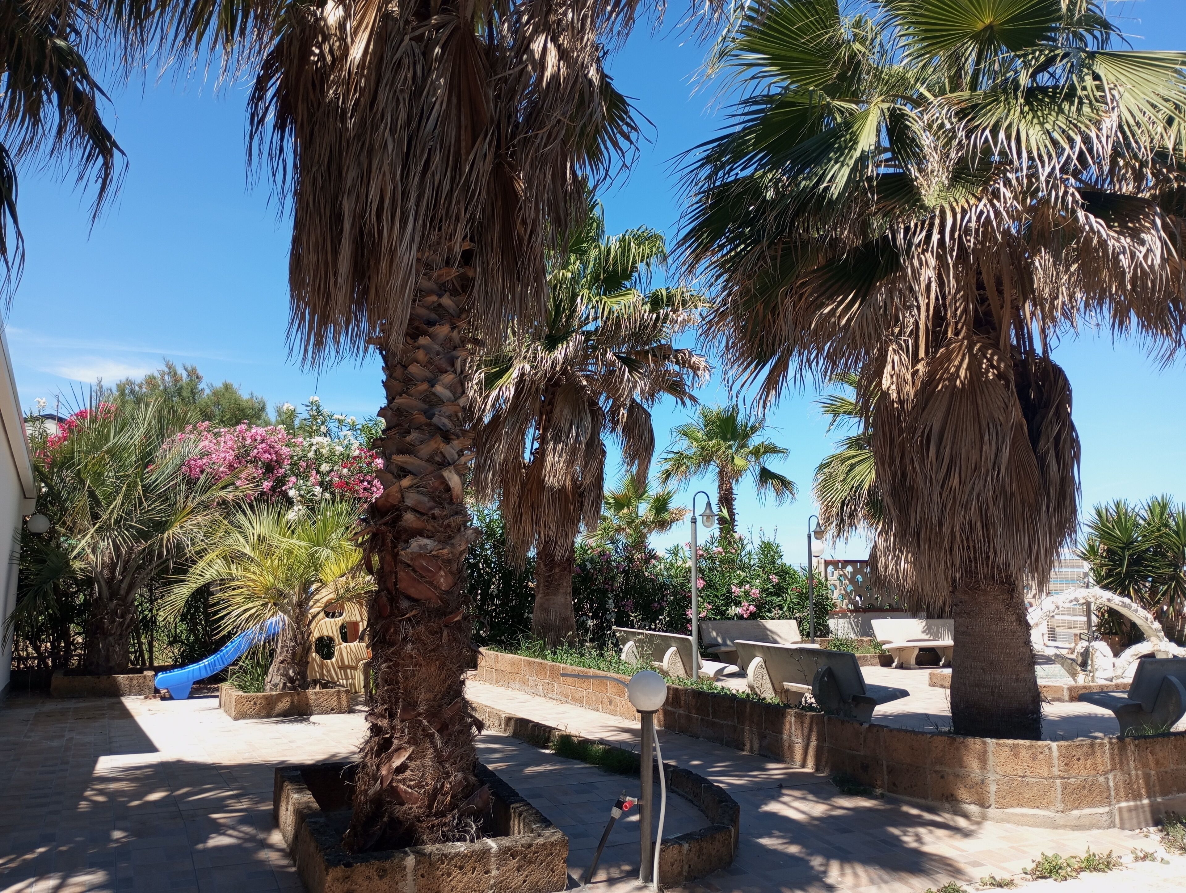 Un patio con palmeras, un tobogán azul y mobiliario exterior.