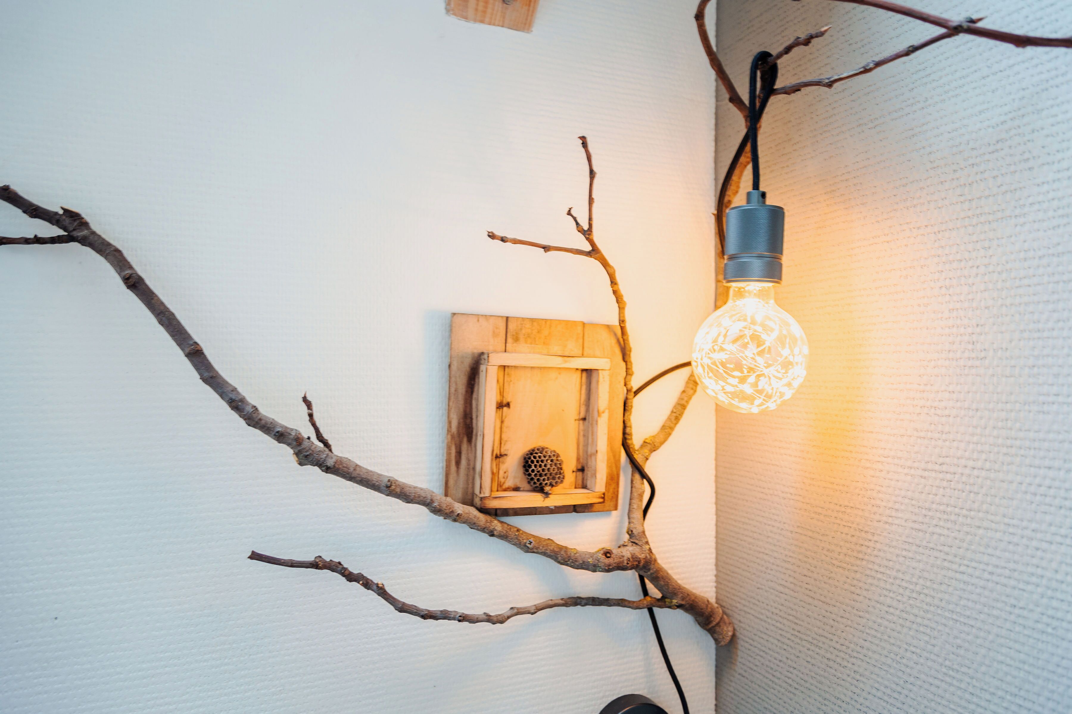 A wall-mounted light fixture with a branch design, a wooden box, and a textured wall.