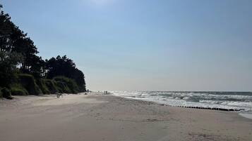 On the beach