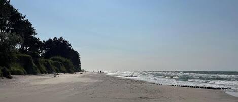 On the beach