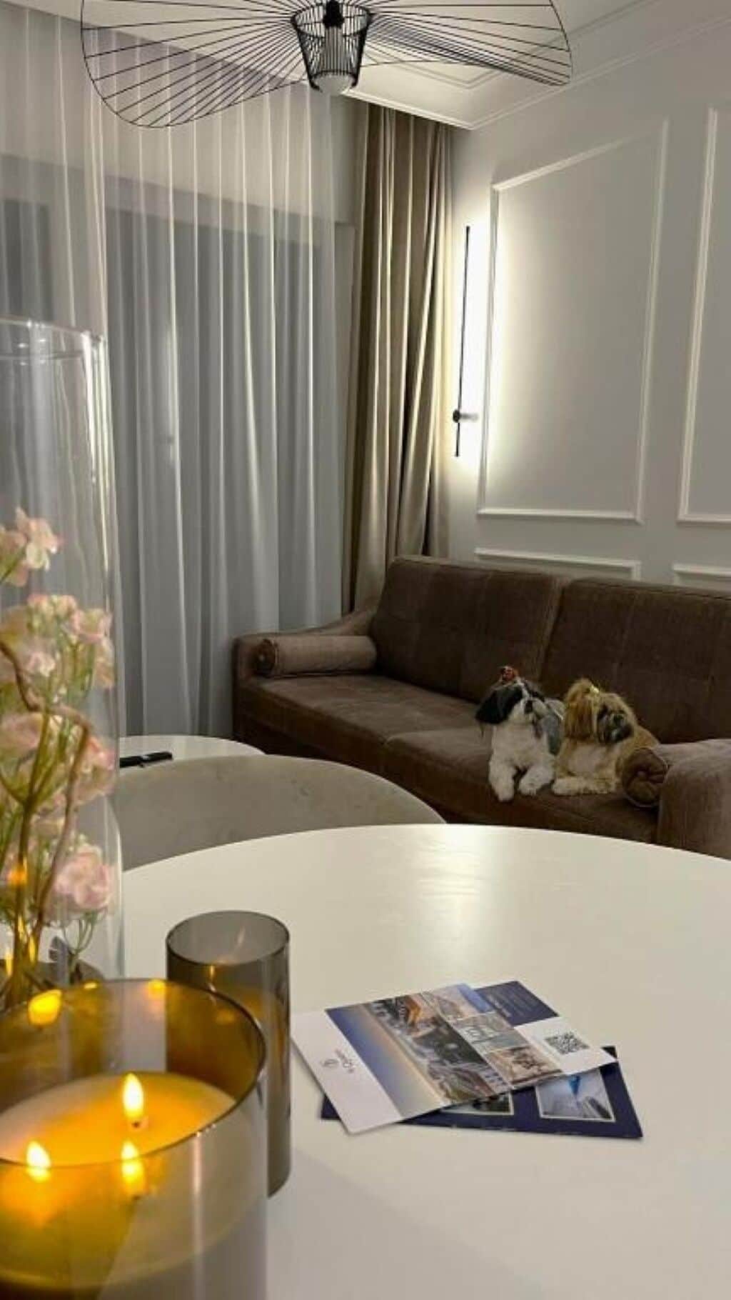 Una sala de estar con un sofá marrón, una mesa blanca con una vela y fotografías, y un perro.