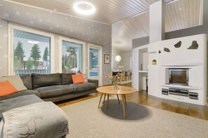 Fernseher, Kamin