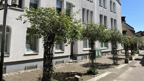 A multi-story building with a row of trees in front, large windows, and a clear sky.