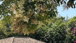 泳池