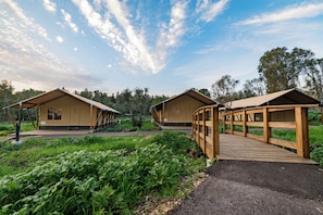 Tent, Multiple Beds, Balcony, Garden View | Property grounds