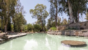 Una piscina cristalina con un muro de piedra y árboles al fondo.