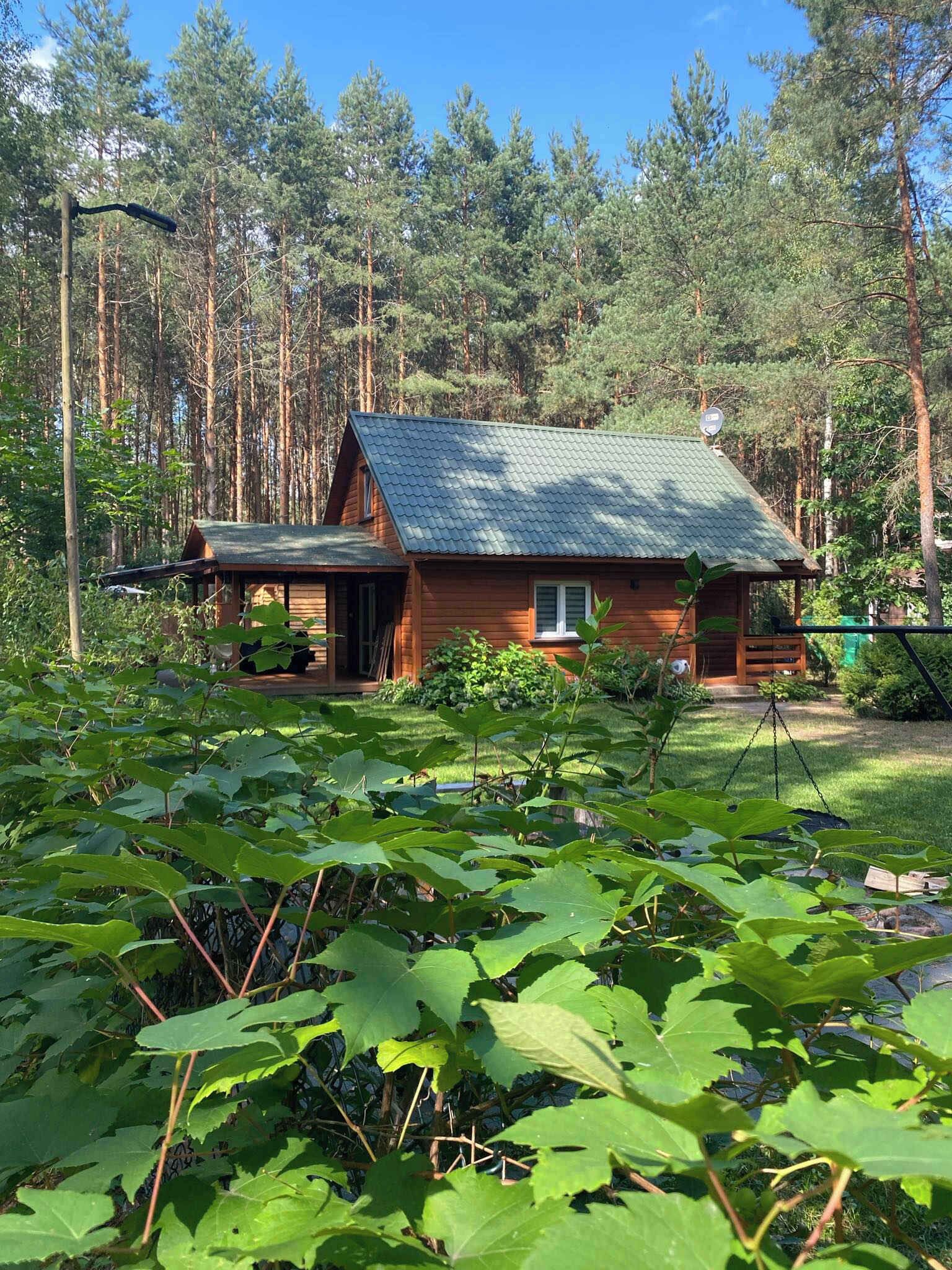 Ulkopuoli