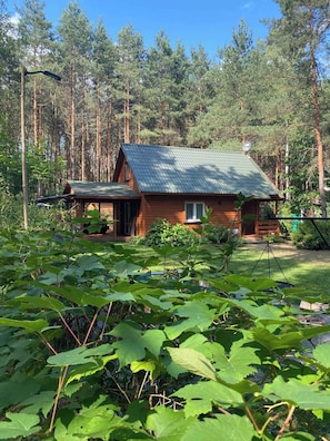 Ulkopuoli