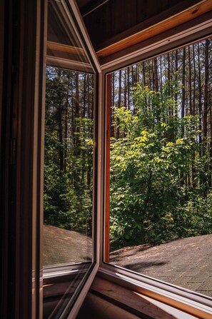 A window with a view of a forested area.