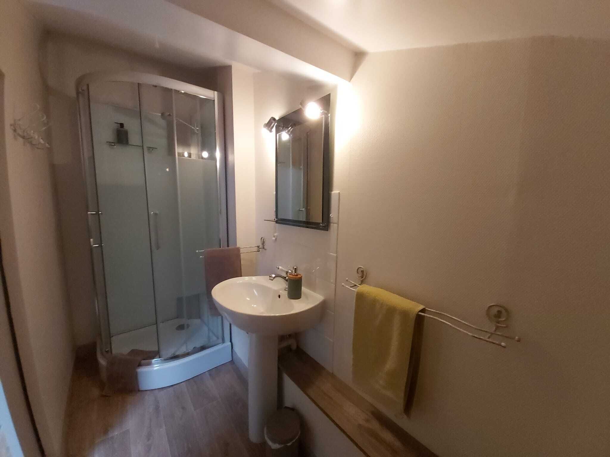 Een badkamer met een douchecabine van glas, een wastafel en een spiegel.