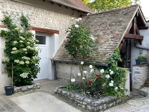 Detalle del exterior