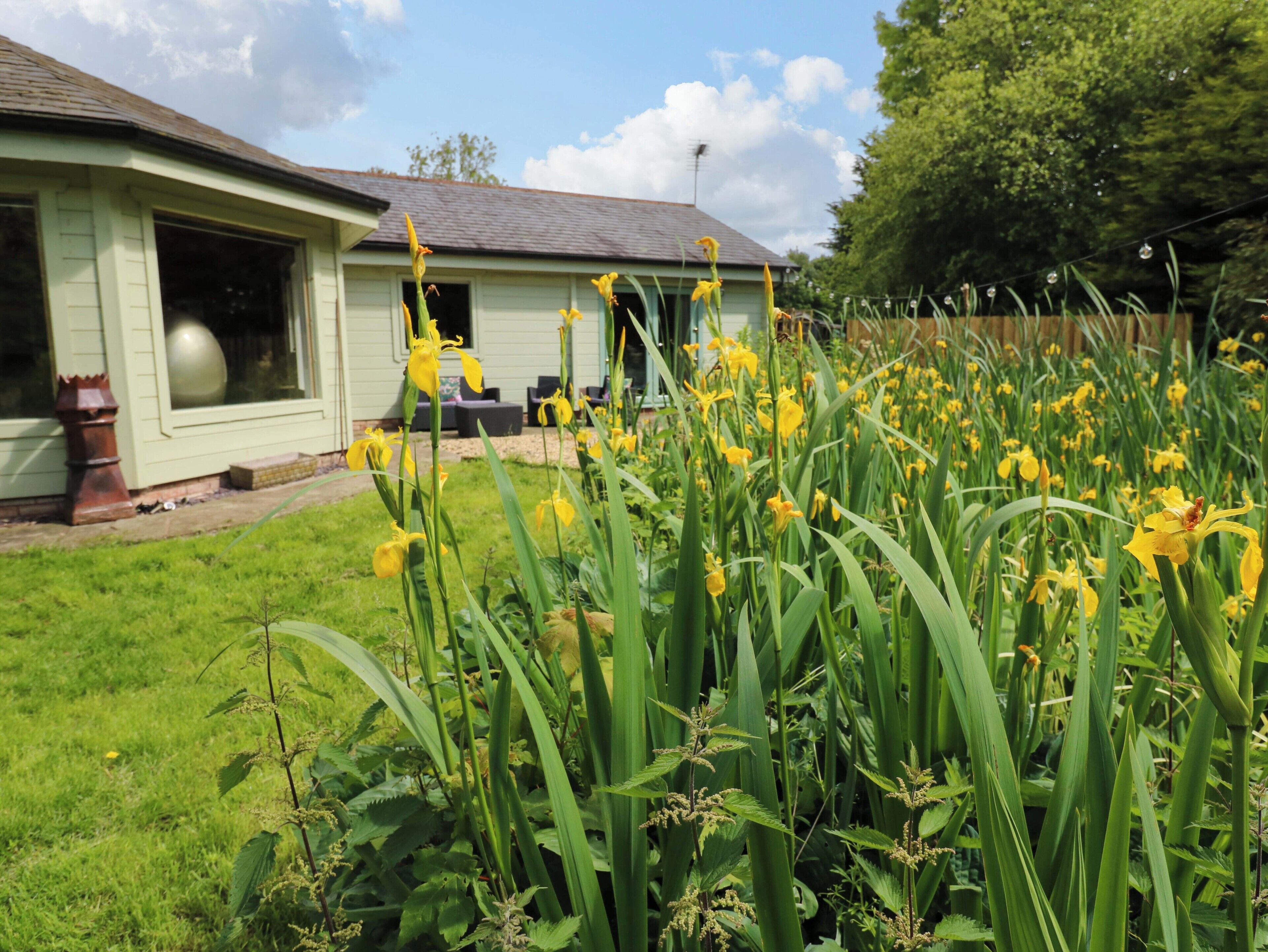 A house with a garden featuring yellow flowers and green foliage.