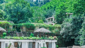 Acomodação à beira-rio com cabanas de telhado de palha, um rio calmo e vegetação exuberante ao fundo.