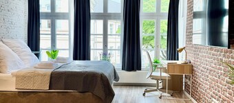 Castle Loft: Comfortable studio apartment in a historic building with a view of the castle, washing machine