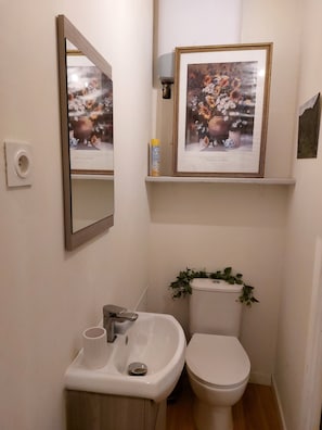 Shower, towels, soap, toilet paper - Charming and bright studio apartment (Near Avignon & the vineyards) (Roquemaure)