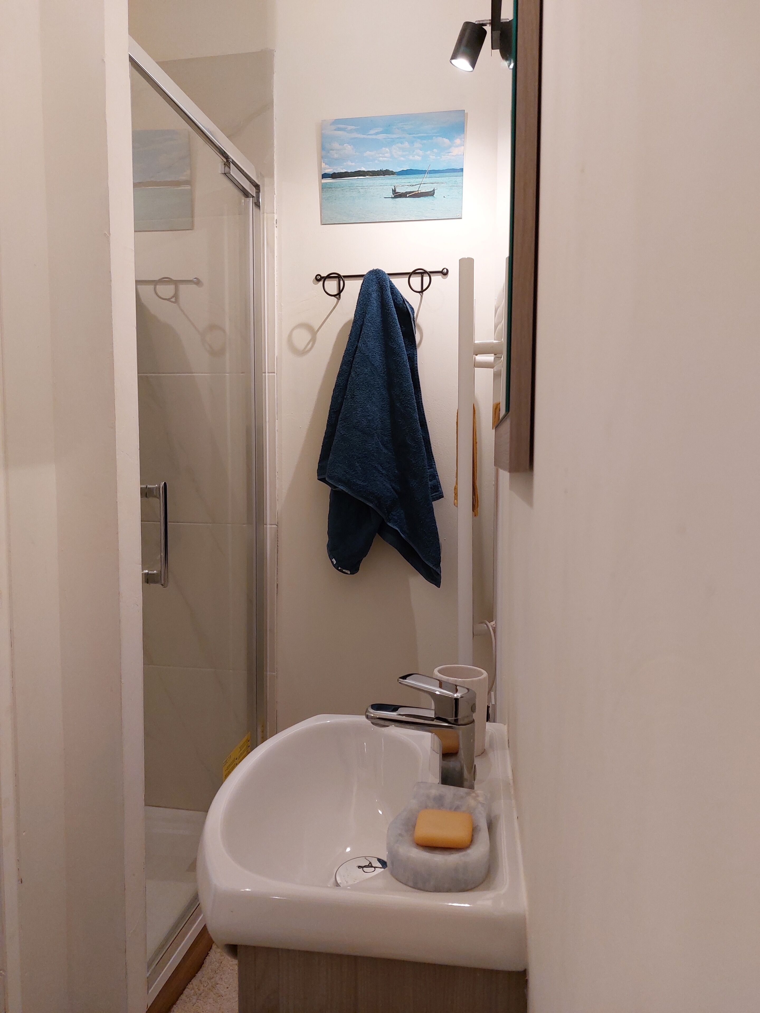 シャワー、タオル、石鹸、トイレットペーパー