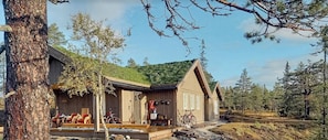 A wooden cabin with a porch, bicycles, and a mountain backdrop. - Cozy, traditional cabin in Veggli (Veggli)