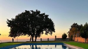 A swimming pool with a large tree in the center, surrounded by a grassy area and a stone wall.