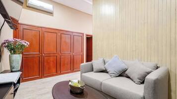 Smart TV, DVD player, books, video library