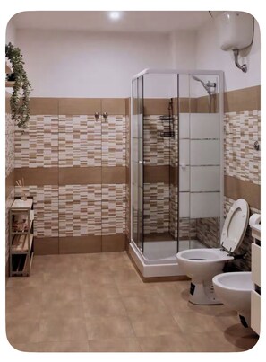 Regadera, secadora de cabello, bidet, toallas 